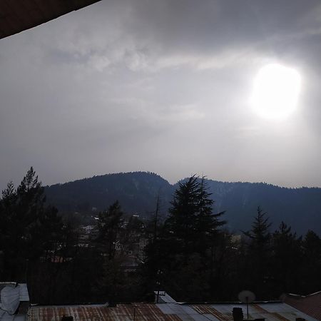 Gogichas Tower Hotel Borjomi Phòng bức ảnh