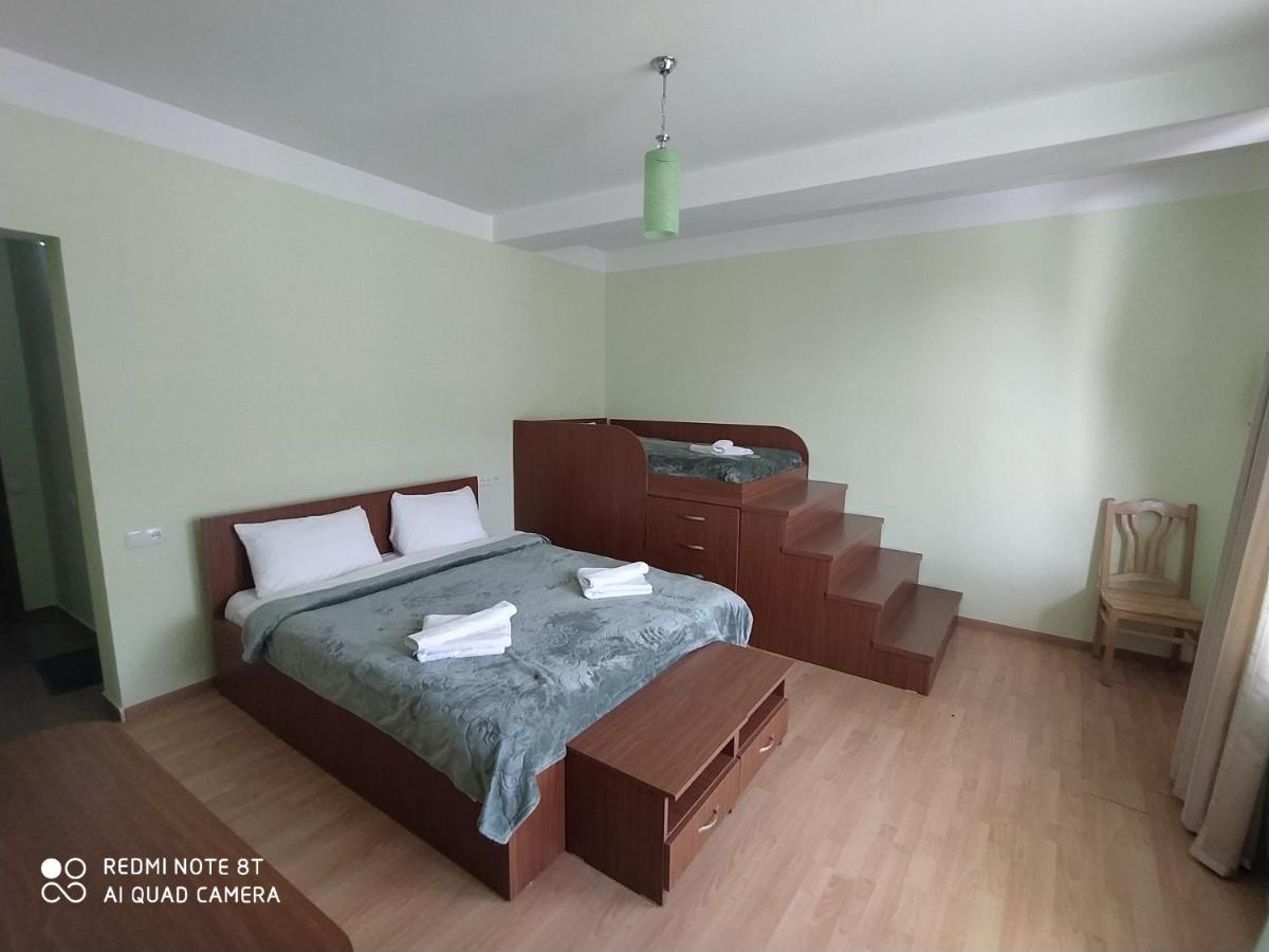 Gogichas Tower Hotel Borjomi Ngoại thất bức ảnh